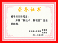 医院知名专家证书